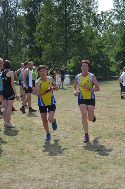 Aflossingszone 2015 - 231